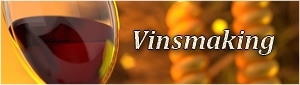 vinsmaking i budapest